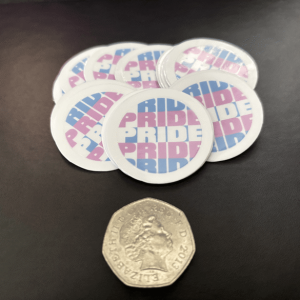 Trans Pride Stickers x10